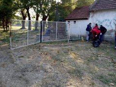 IMG_20181006_084122.jpg